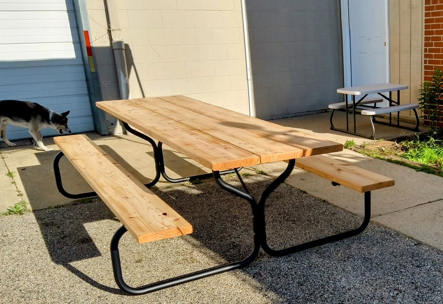 Handcrafted 10-Foot Pine Picnic Table with Powder Coated Steel Frame